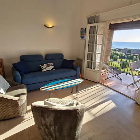 Apartament Avec Mezzanine Et Piscine, Animaux Acceptes, Parking Prive A - Fr-1-780-81