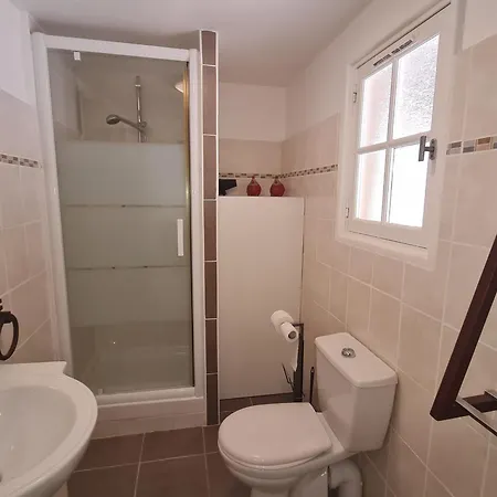 Apartament Avec Mezzanine Et Piscine, Animaux Acceptes, Parking Prive A - Fr-1-780-81